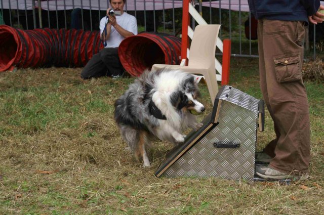 foire-haricots 2011-09-17et18